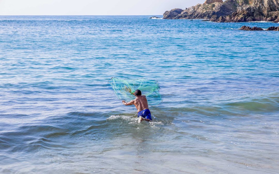 Agua Blanca: El Paraíso de los Mariscos Frescos