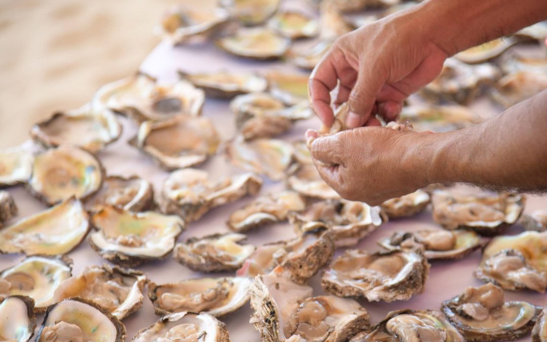 Agua Blanca celebra el sabor del mar en el Festival del Ostión 2025